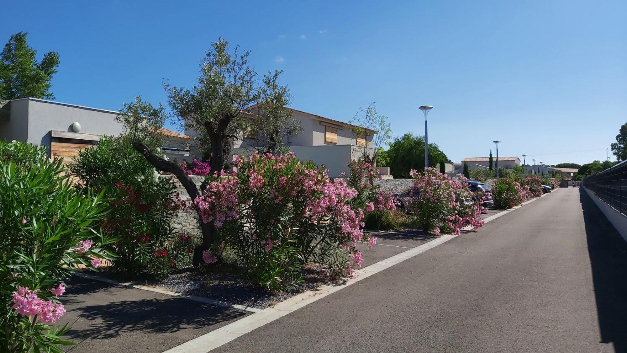 Villa HOME HOLIDAY à Cala Rossa Lecci Extérieur photo